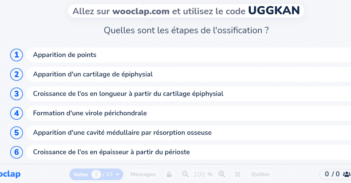 Quelles sont les étapes de l'ossification ?