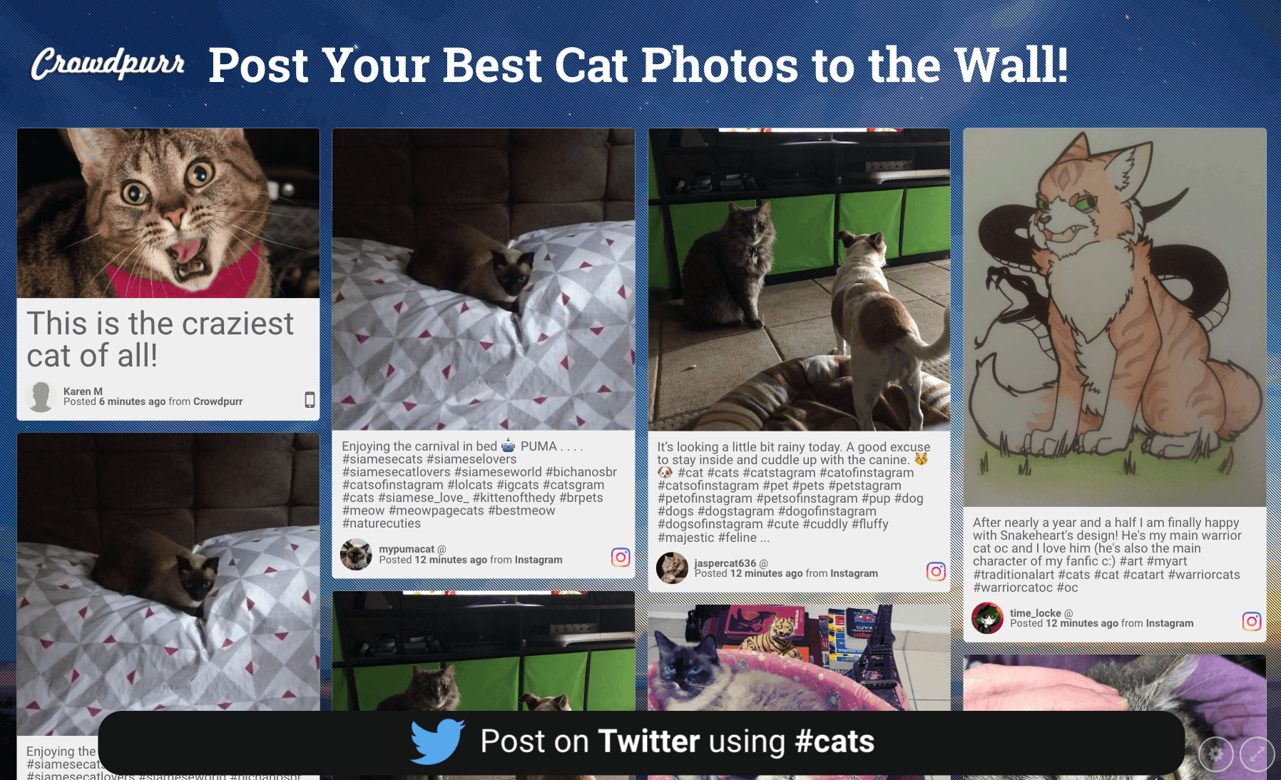 Crowdpurr’s Social Wall is a custom-branded space where community members can share content with other members.
