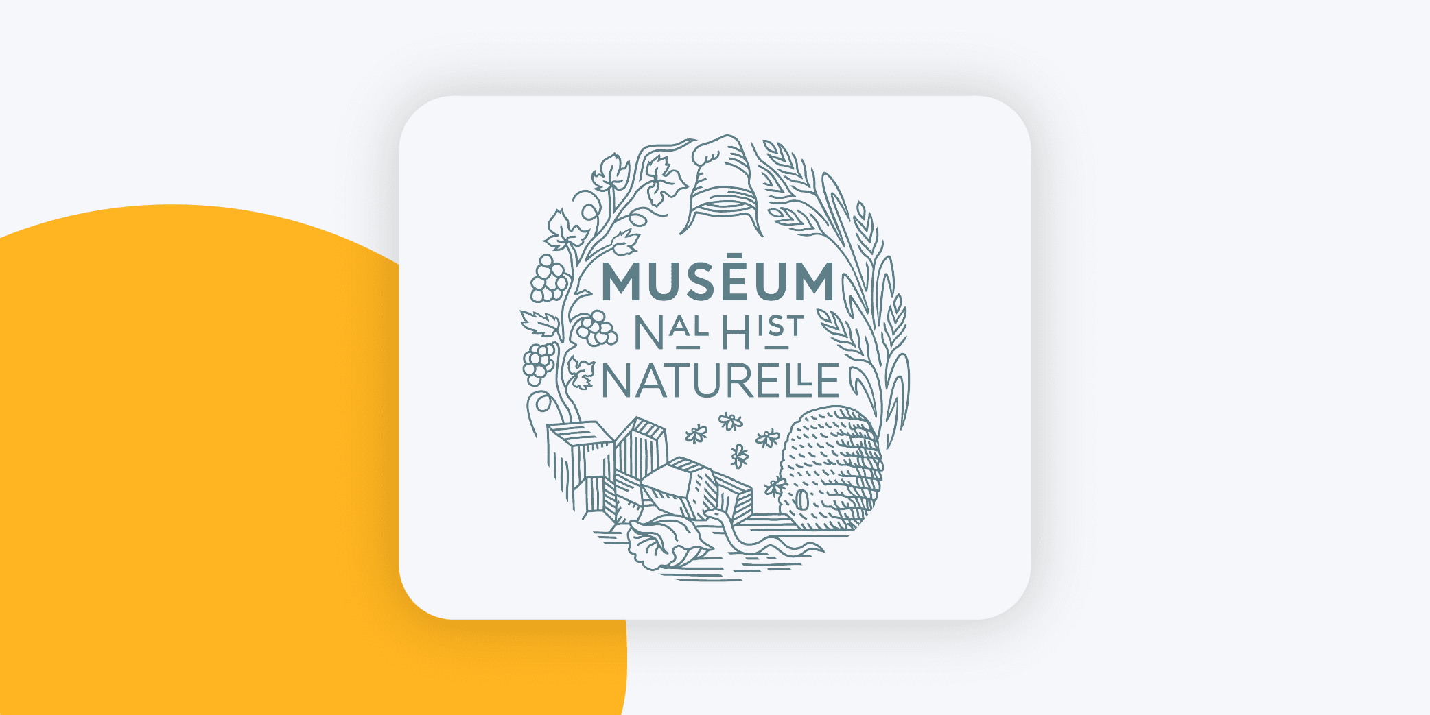 Muséum et Wooclap