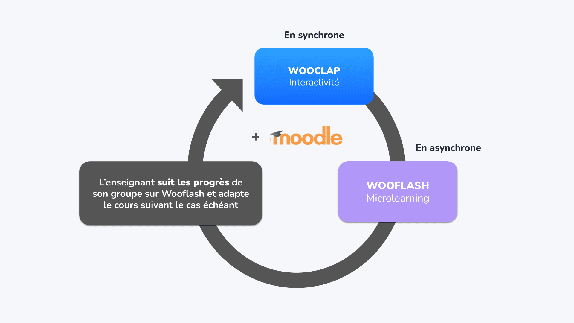 Wooflap et Wooflash au service de la continuité pédagogique