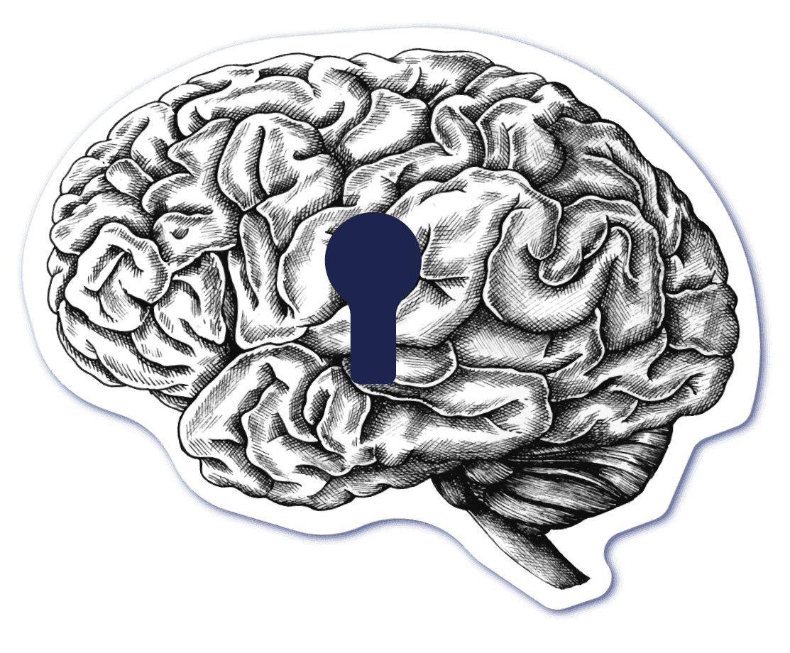 Dynamisez vos formations grâce aux neurosciences illustration