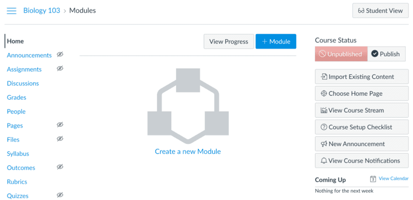 Canvas course design page with all the activities you need to design a course, publish it, and view students’ progress.