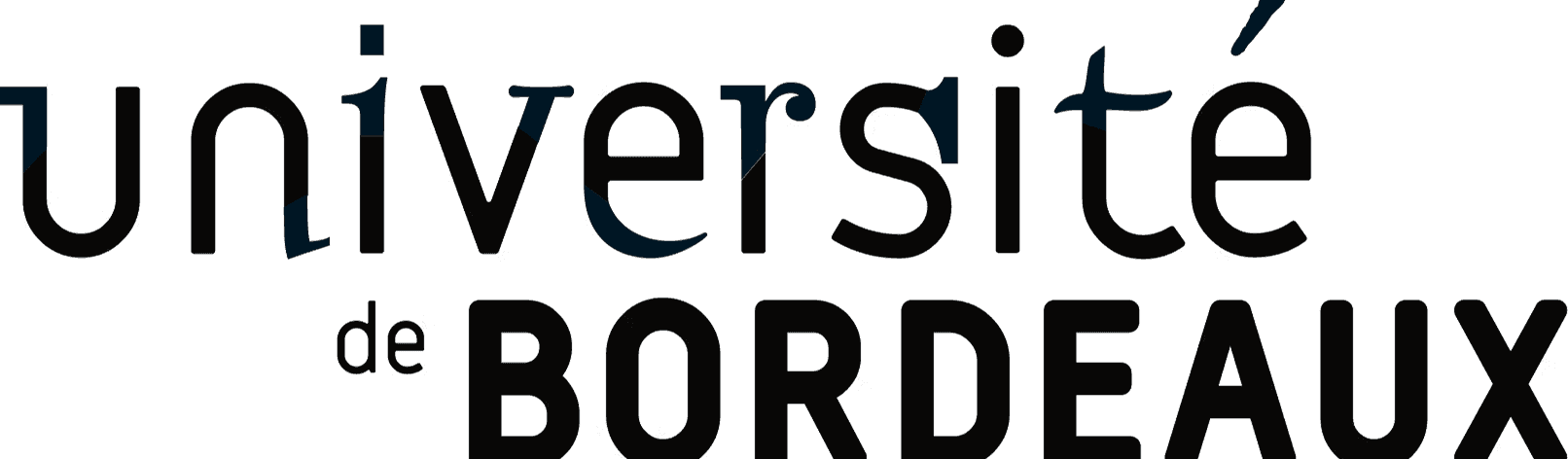 Logo Université de Bordeaux noir et blanc